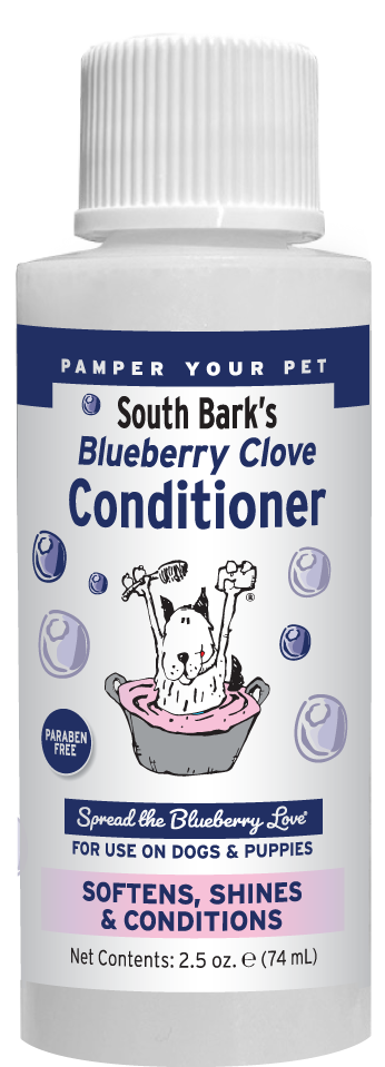 Blueberry Clove Conditioner in 2 ounce bottle. 