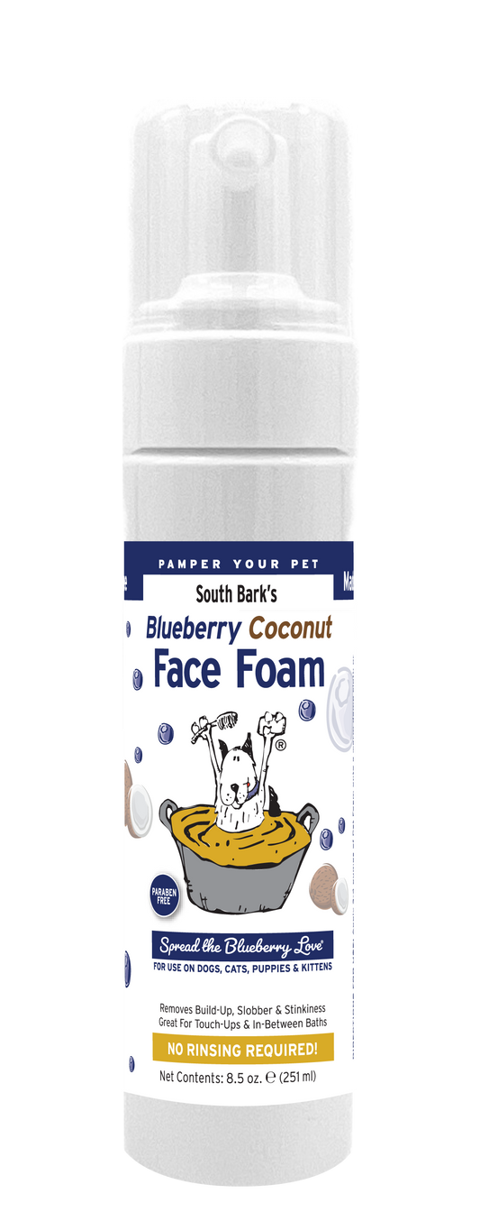 Blueberry Coconut Face Foam in 8.5 ounce foam bottle. 