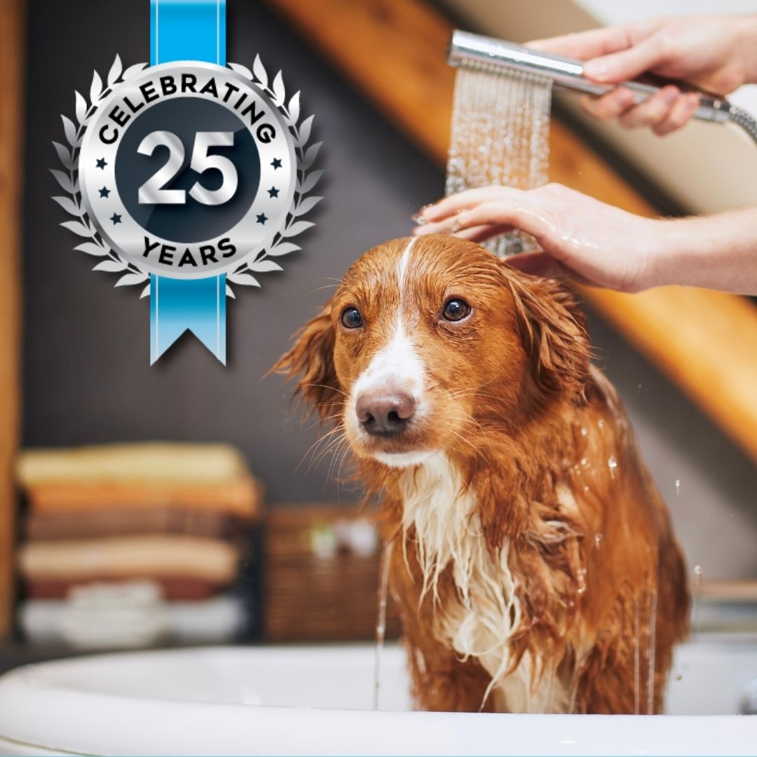Puppy getting washed with a "celebrating 25 years" badge