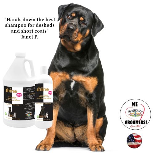 Two bottle of the Showseason Shine Shampoo place on an image of a black and brown boxer dog. Words say, "Hands down the best shampoo for desheds and short coats - a quote by Janet P."