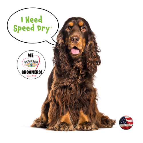 Brown spaniel dog in the middle of white background saying, "I need speed dry." 