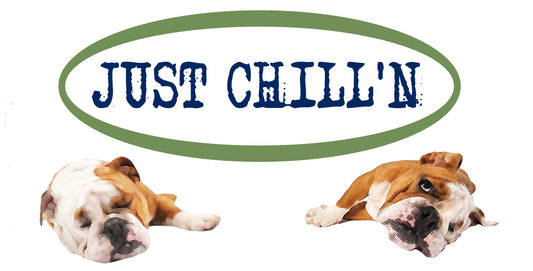 Two pugs lying down, one sleeping. Words say, "Just Chillin'"