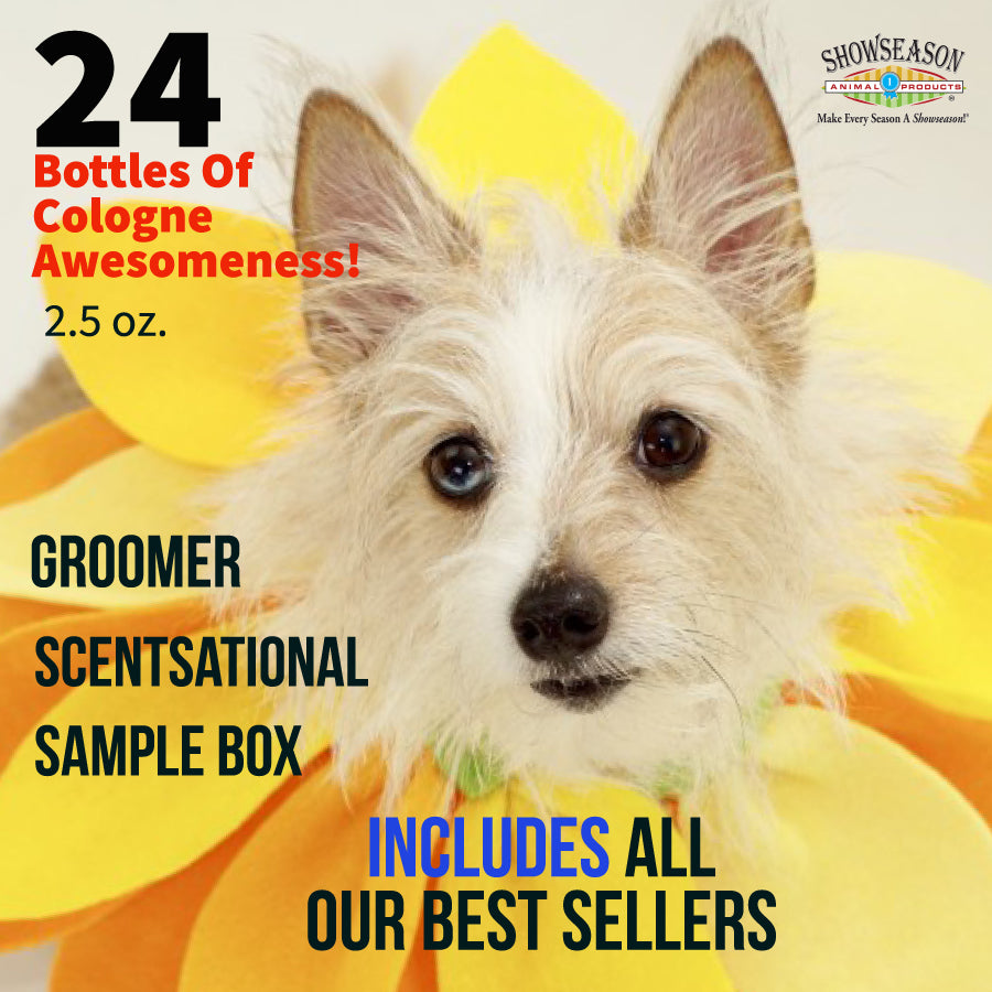 Dog placed in the middle of a graphic in a sunflower costume