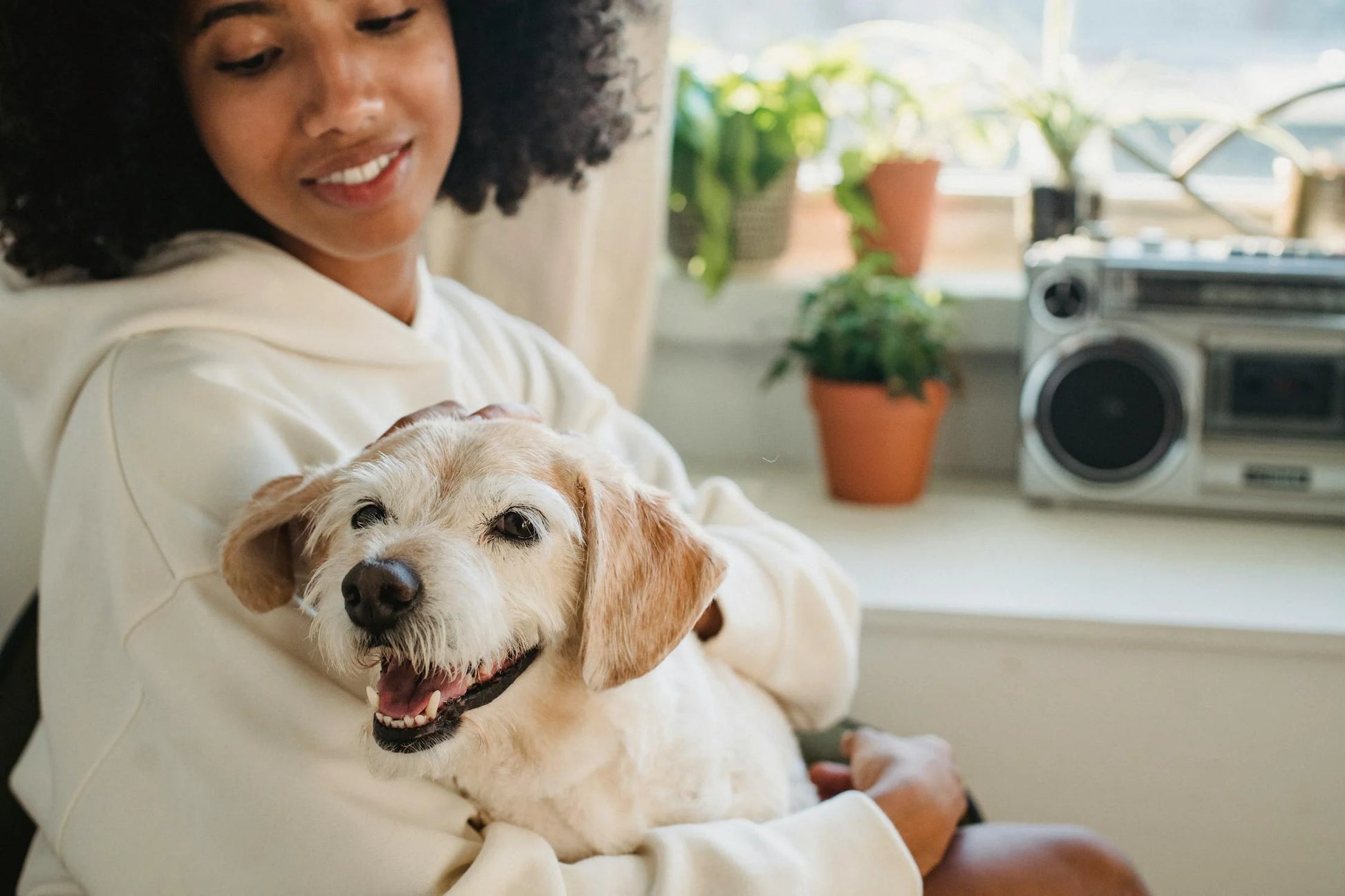 Older dog sitting in a woman's lap. Dog is white and is getting petted. They are siting next to a window with plants and a radio. 