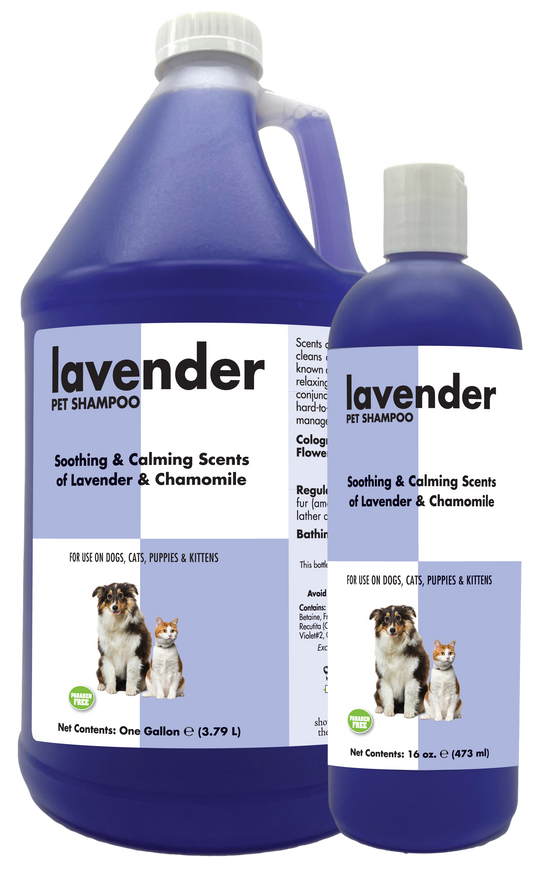 Lavender Pet shampoo with information and instruction in 1 gallon and 16 ounce bottles. 